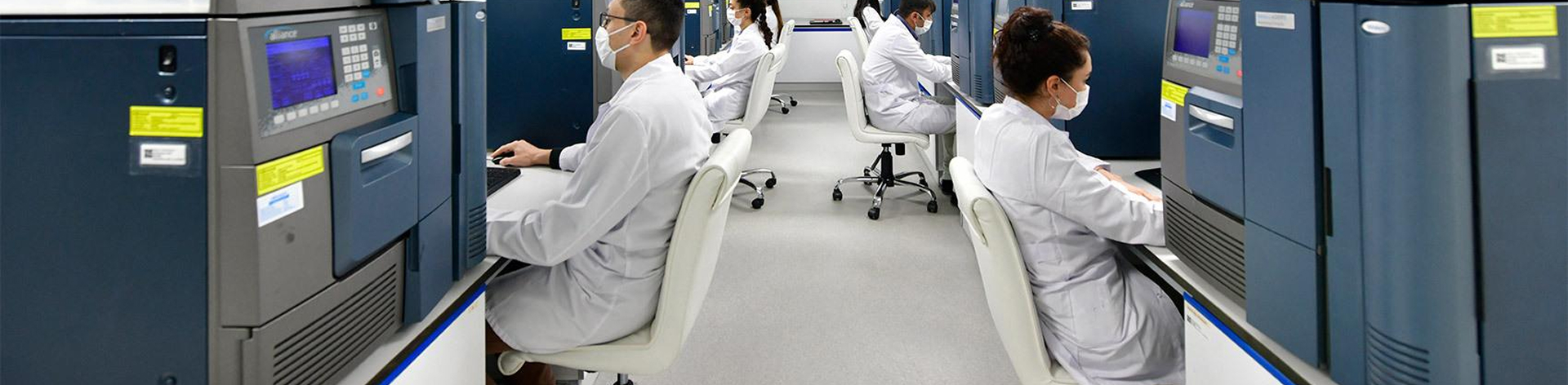 Ознакомьтесь с WM